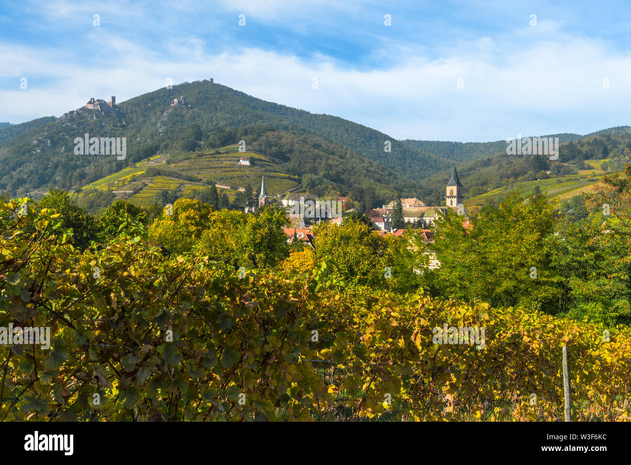 Panorama del villaggio di Ribeauvillé con paesaggio, Alsazia strada del vino, Francia, montagne Vosges con vigneti e castelli in background Foto Stock