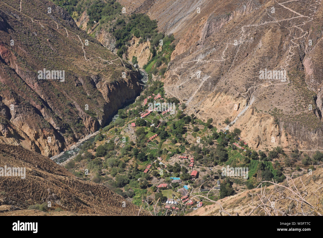 Sangalle oasi nel Canyon del Colca, Perù Foto Stock