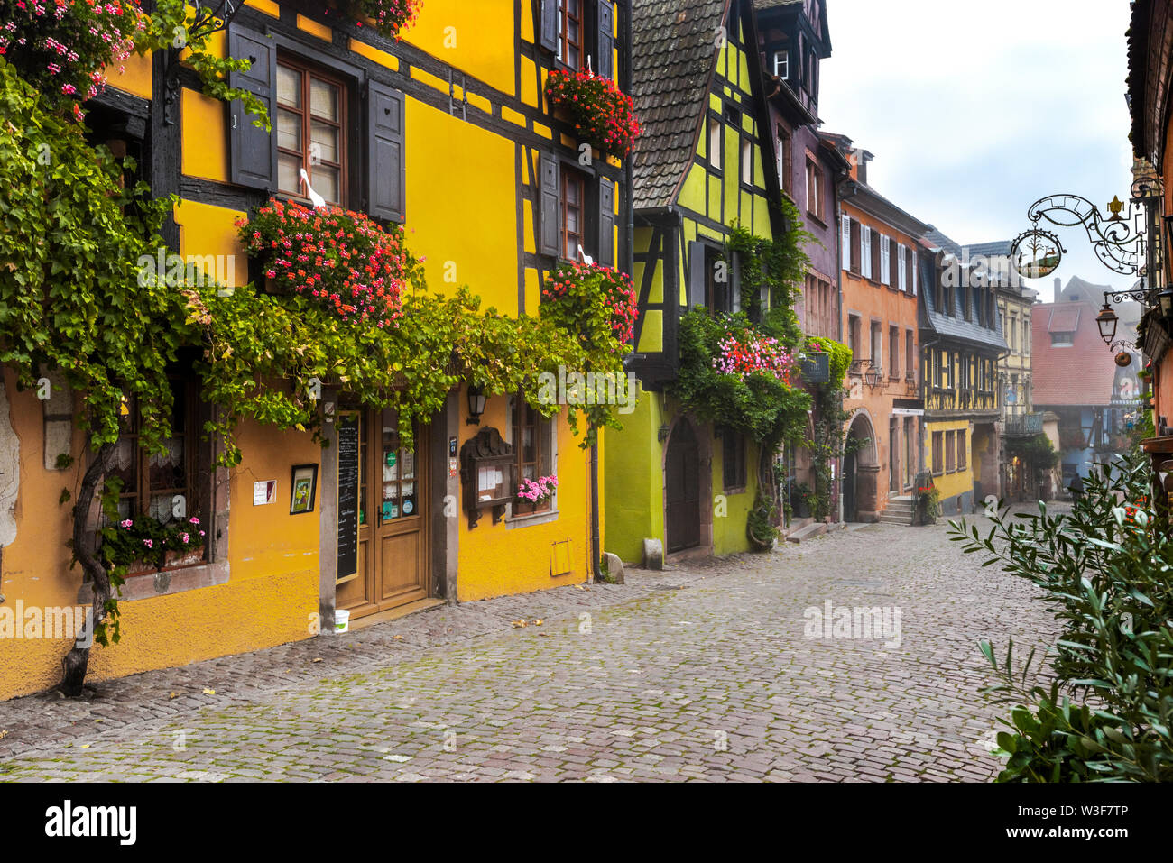 Case colorate nel villaggio Riquewihr, Alsazia strada del vino, Francia, vite e fiore-adornato di mezza-case con travi di legno Foto Stock