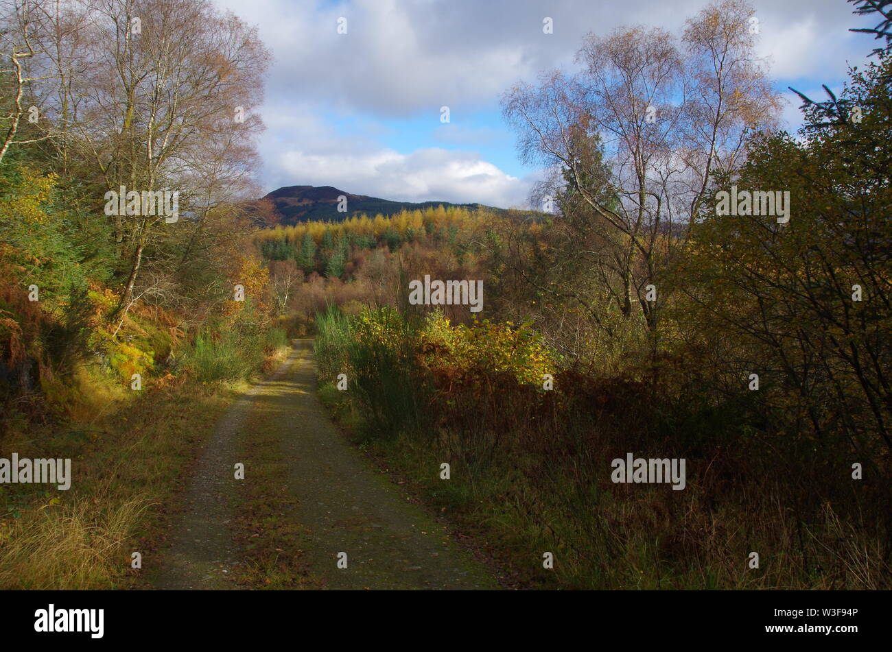 Il Loch Lomond e Cowal modo. Cowal peninsula. Highlands. La Scozia. Regno Unito Foto Stock