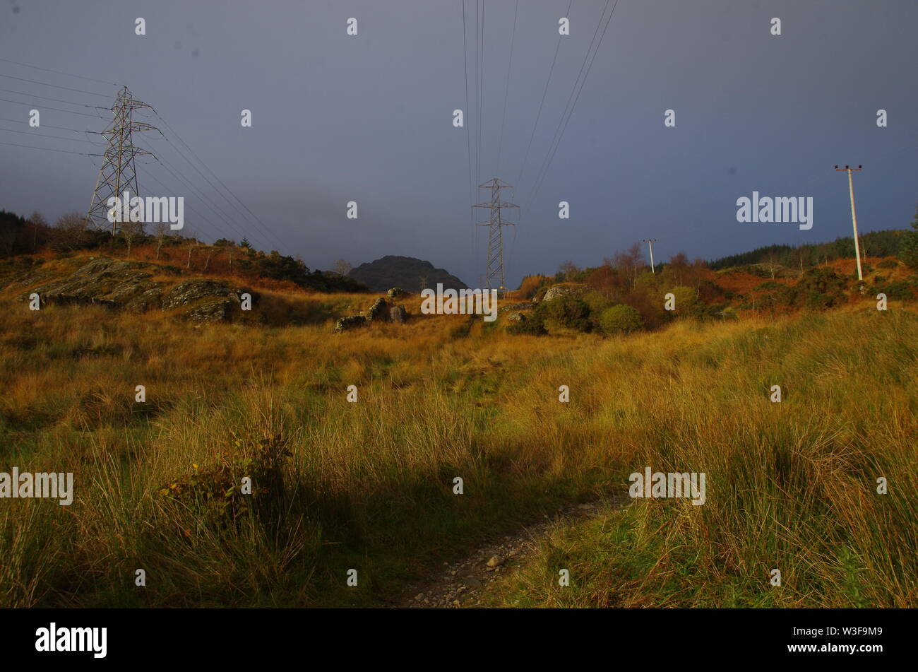 Il Loch Lomond e Cowal modo. Cowal peninsula. Highlands. La Scozia. Regno Unito Foto Stock