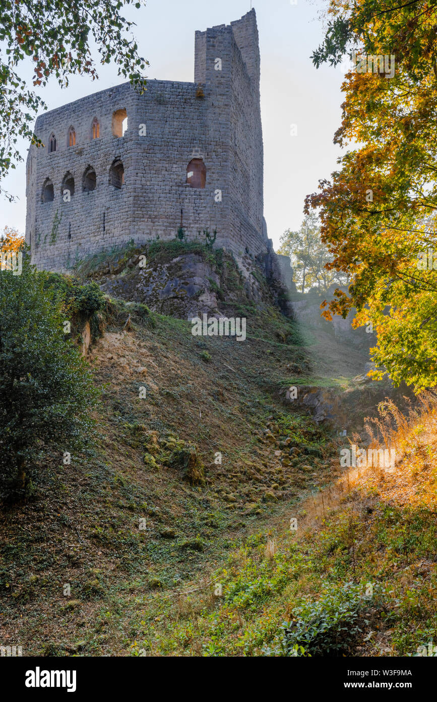 Rovina del castello di villaggio Andlau con fogliame di autunno, Alsazia, Francia, Spesburg, Château de Spesbourg con finestre gotiche Foto Stock