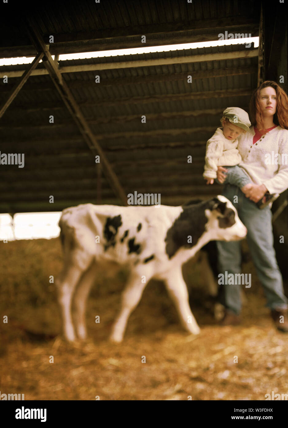 Una donna con il suo bambino in braccio è in piedi accanto a un vitello. Foto Stock