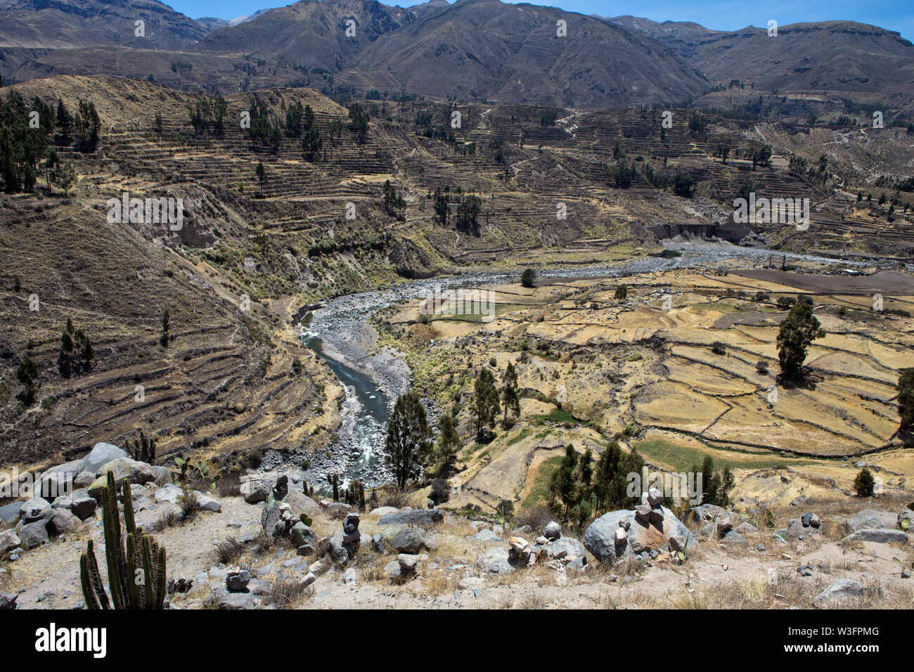 Un Fiume Colca che fluisce attraverso il Canyon del Colca che è fortemente coperto in pre-colombia tempo terrazze Inca in Perù Sud, regione di Arequipa. Foto Stock