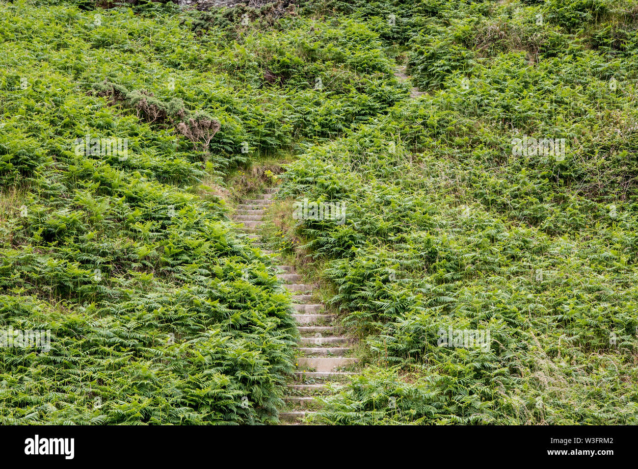 Sud Ovest percorso costiera North Devon Foto Stock