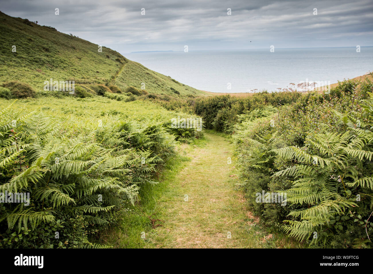 Sud Ovest percorso costiera North Devon Foto Stock