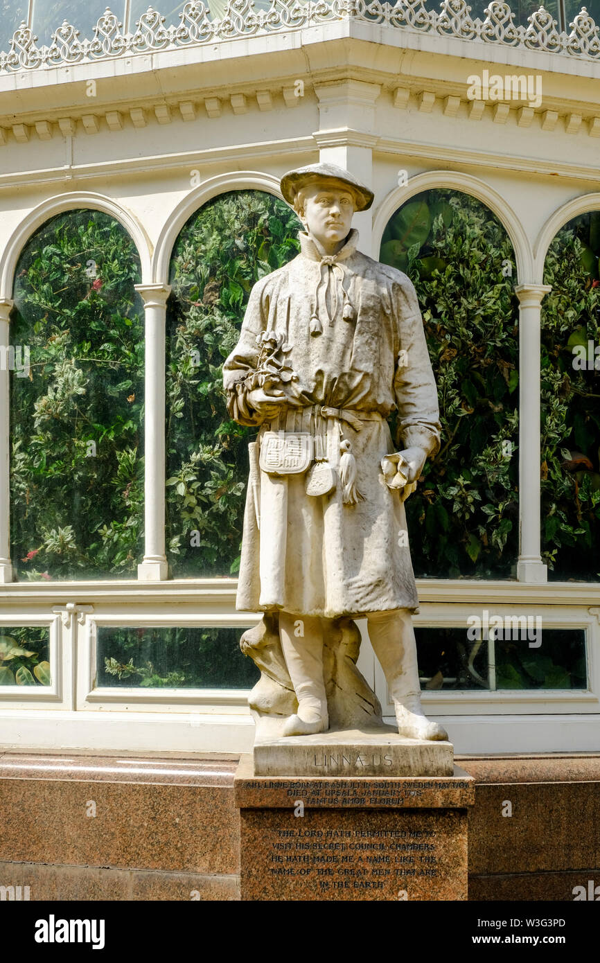 Statua di Carlo Linneo, il botanico svedese, medico e zoologo che hanno formalizzato nomenclatura binomiale, il moderno sistema di organismi di denominazione, ou Foto Stock