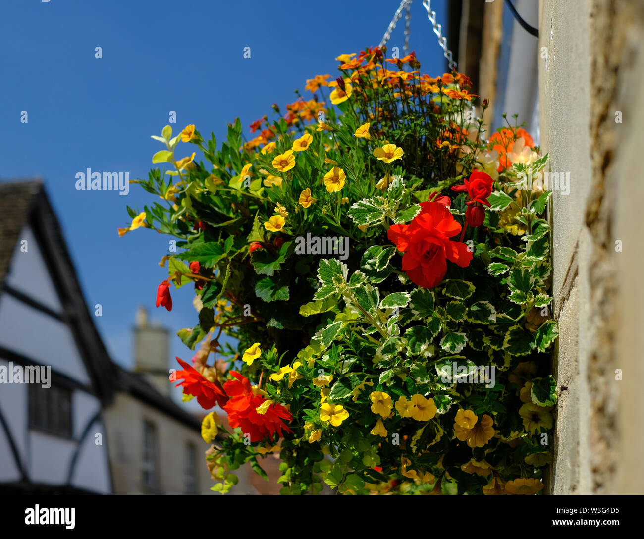 Appendere cesto fiorito contro il cielo blu in alto estate a Lacock, Wiltshire, Regno Unito Foto Stock
