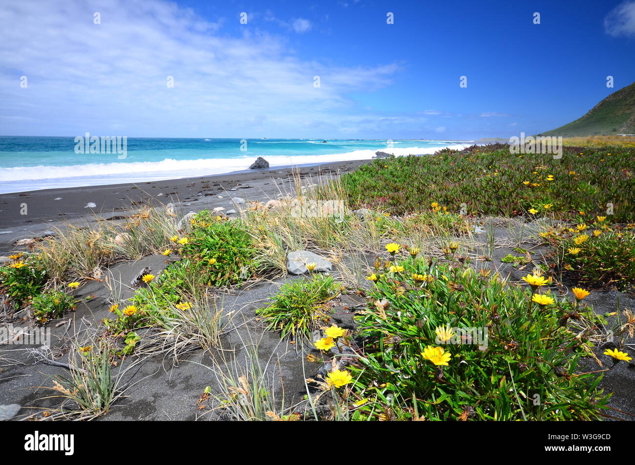 Costa Selvaggia di Nuova Zelanda Foto Stock