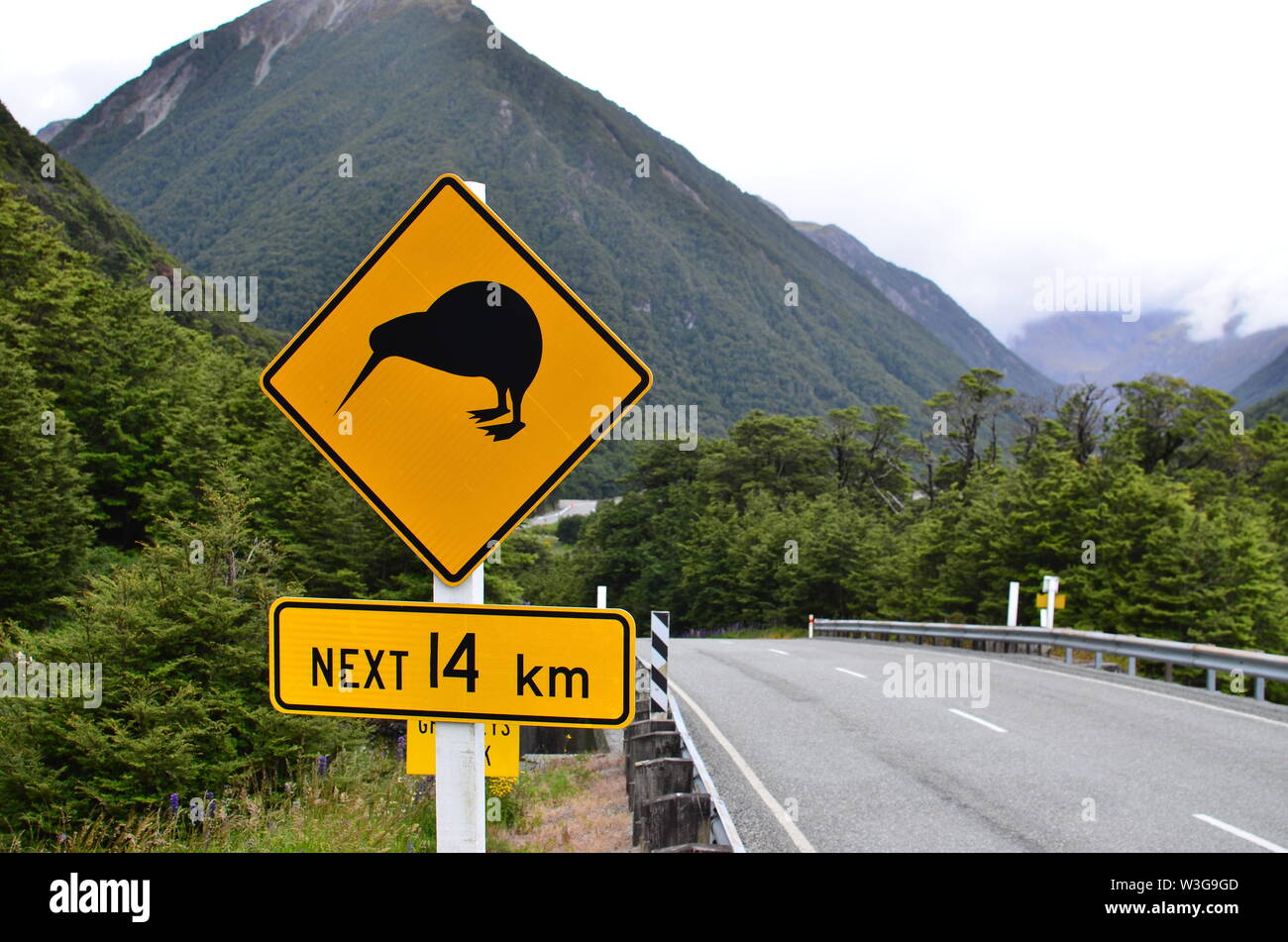 Cartello stradale - kiwi Foto Stock