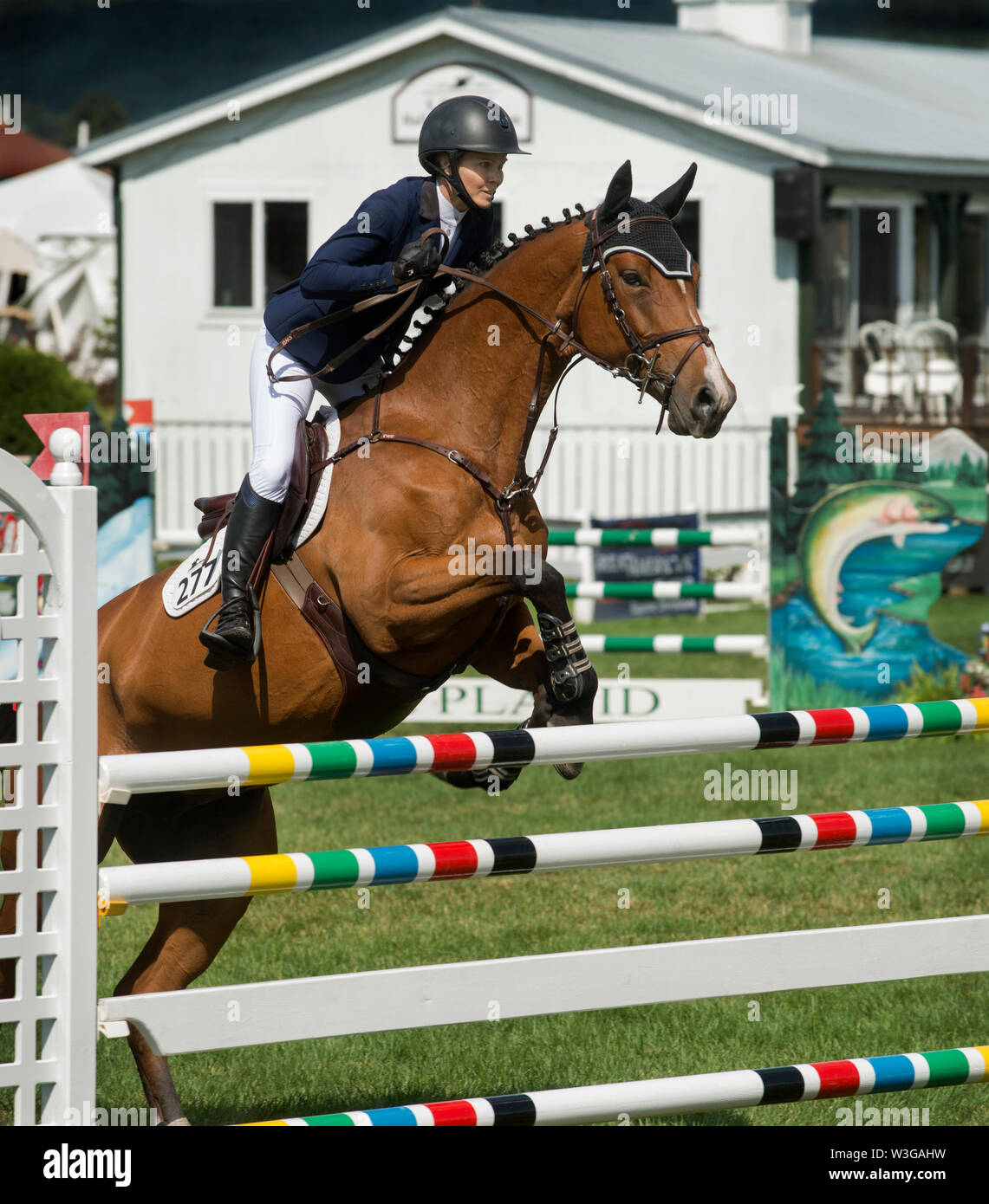 Cinquantesimo annuale di Lake Placid horse show (LPHS) a Lake Placid NY, STATI UNITI D'AMERICA. 700 cavalli hanno gareggiato nel 2019 Cacciatore e il ponticello concorrenza in Lake Placid. Foto Stock