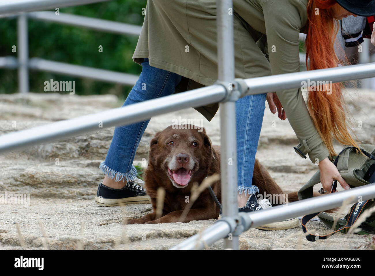 Thale Harz Foto Stock