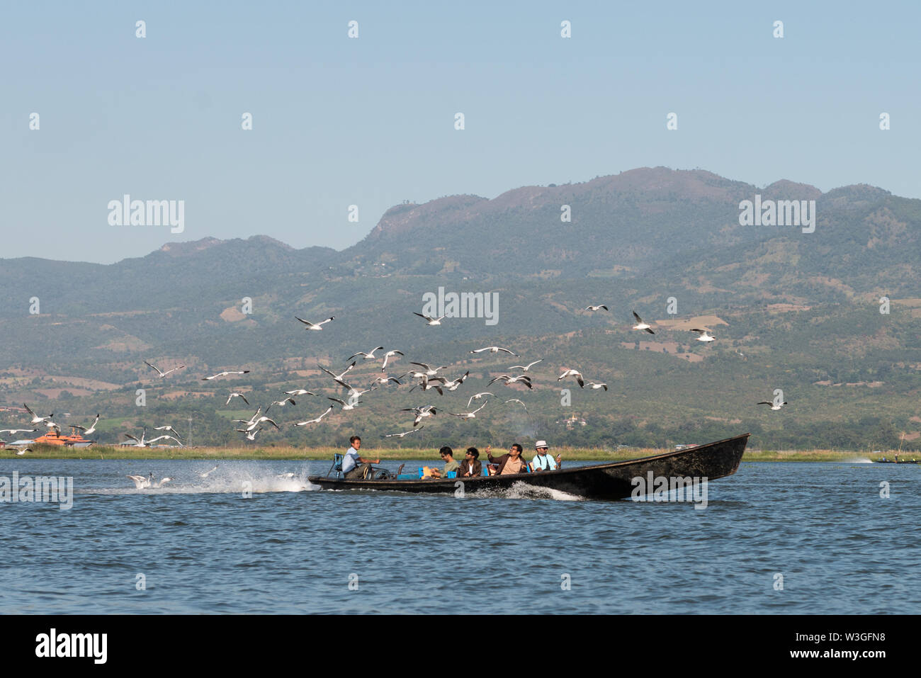 Lago Inle, MYANMAR - 28 novembre, 2018: immagine orizzontale di gabbiani sorvolano locale barca di legno con i turisti in Lago Inle, Myanmar Foto Stock