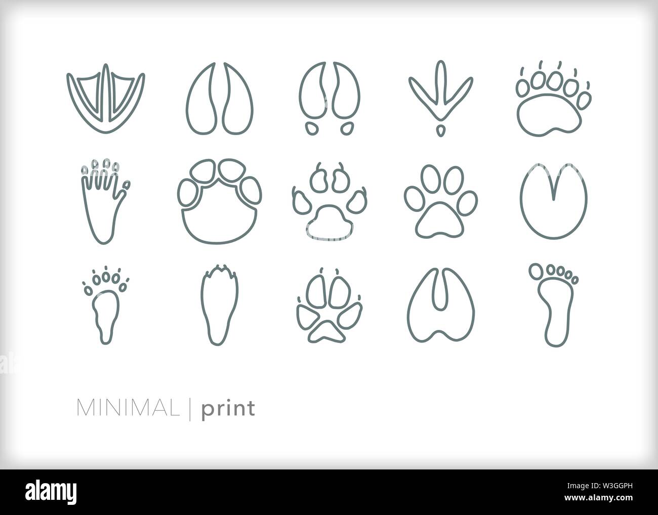 Set di 15 animali linea di stampa icone di fauna selvatica orme per la caccia o il tracking Illustrazione Vettoriale