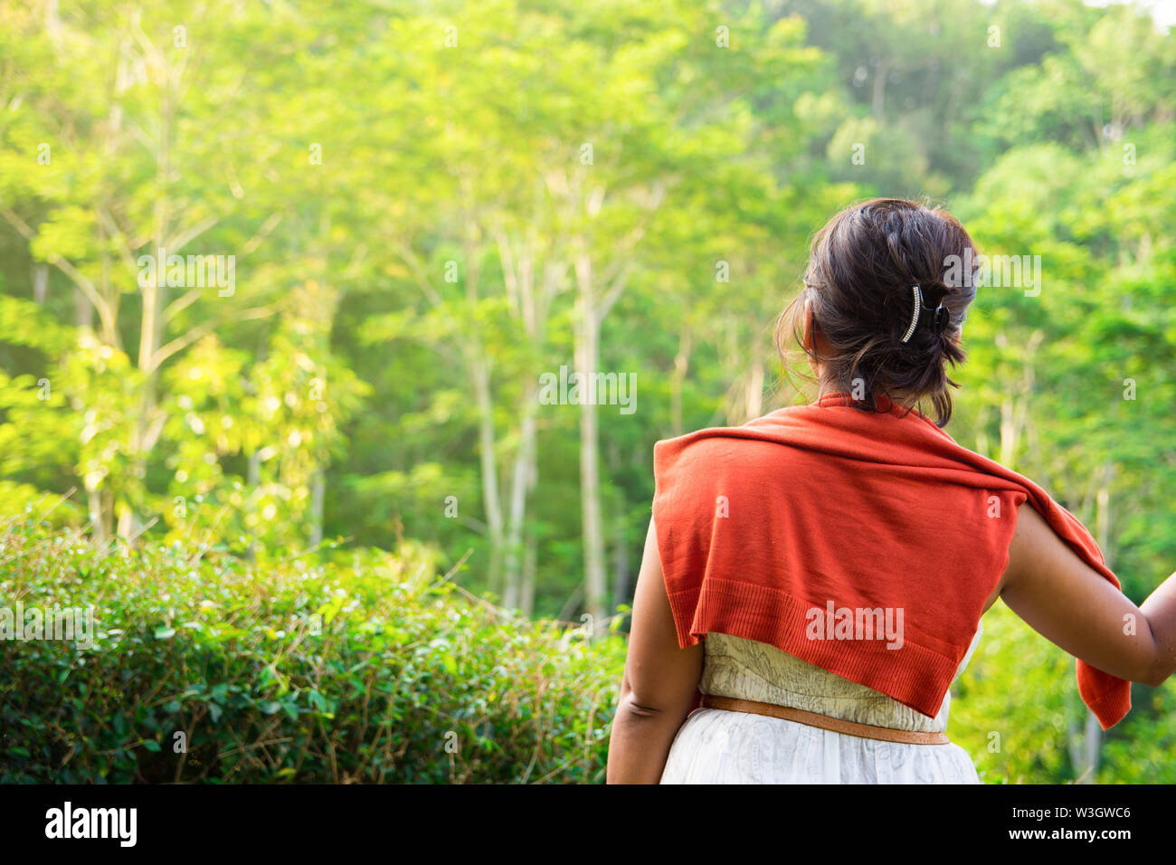 Donna che guarda al Forest View nel tardo pomeriggio luce dorata. Uno stile di vita all'aperto Concetto di immagine con modello sconosciuto. Foto Stock