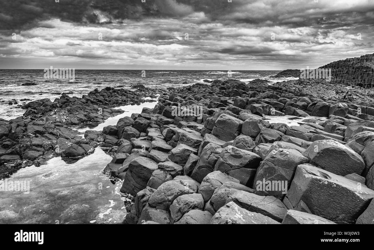 Giant's Causeway, County Antrim, Irlanda del Nord monocromatico Foto Stock