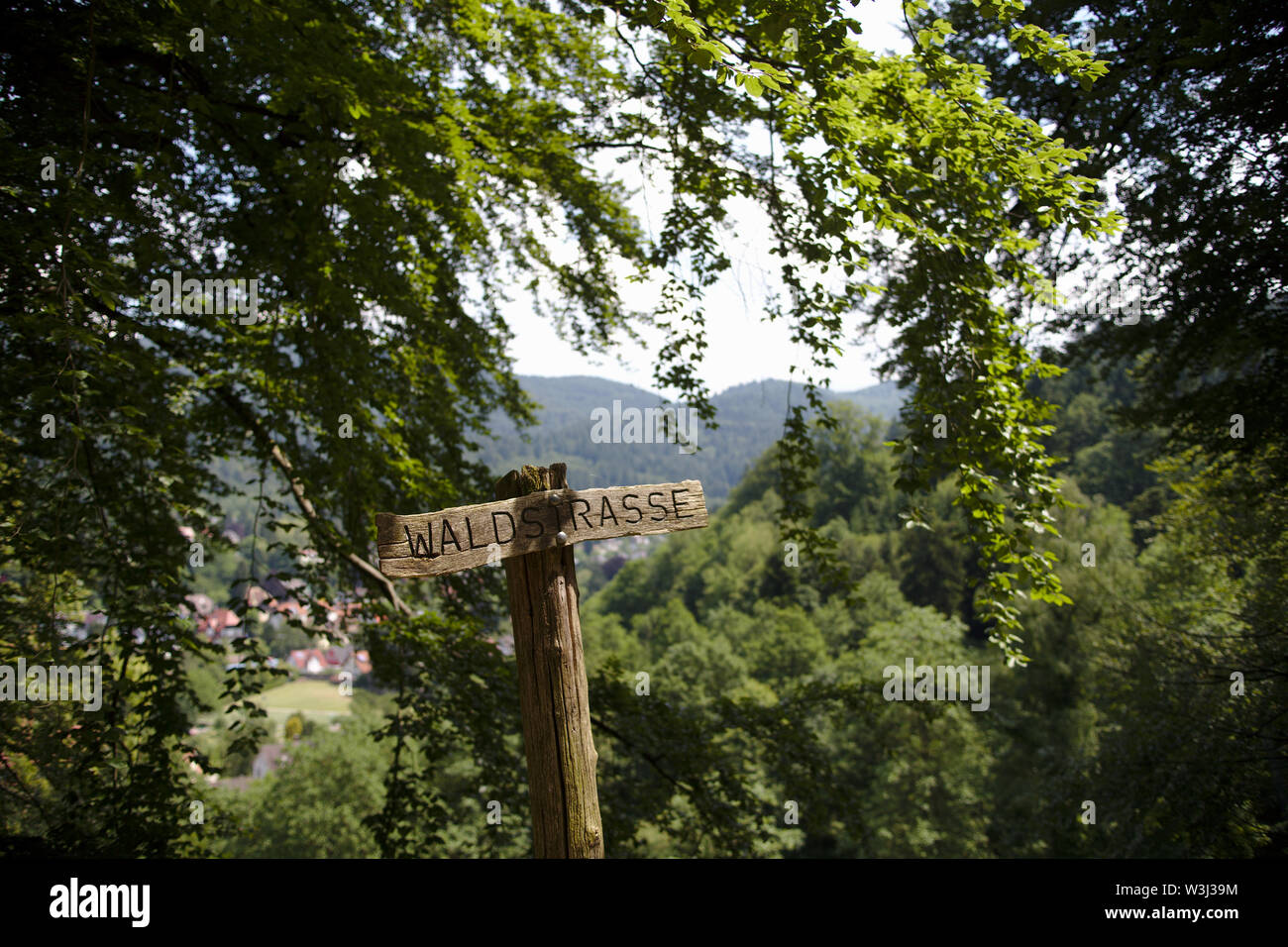 Cartello in legno nel bosco in una soleggiata giornata estiva Foto Stock
