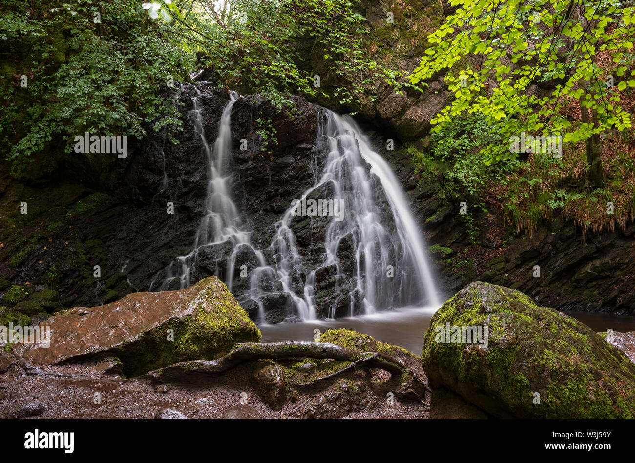 Le cascate a Fairy Glen, un gioiello nascosto trovato dopo una trentina di minuti di camminata nei pressi della città di Rosemarkie, Scozia sulla Black Isle penisola. Foto Stock