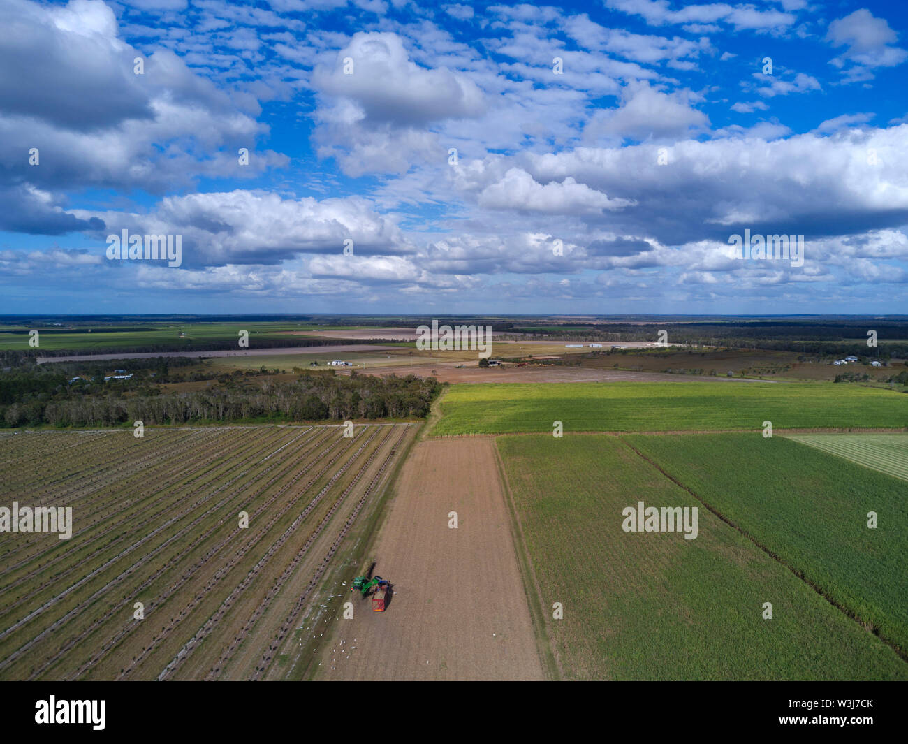 Antenna della mietitrebbia la raccolta della canna da zucchero prodotto plantation vicino a Childers Queenland Australia Foto Stock