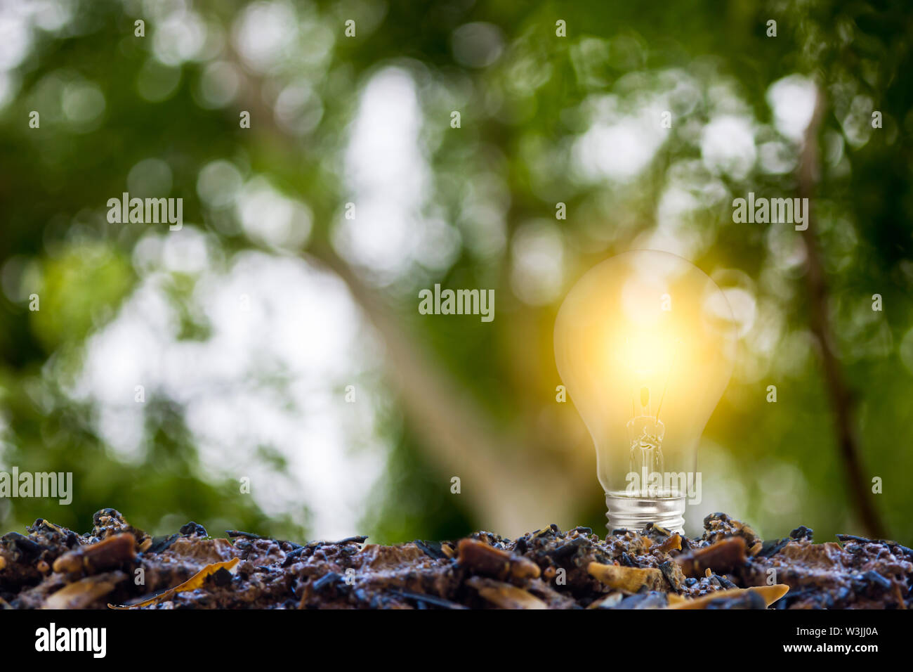 Concetto di ecologia. In crescita la lampadina di luce su un buon terreno con natura verde dello sfondo. Rappresenta un'energia sostenibile da eco-sistema. Foto Stock