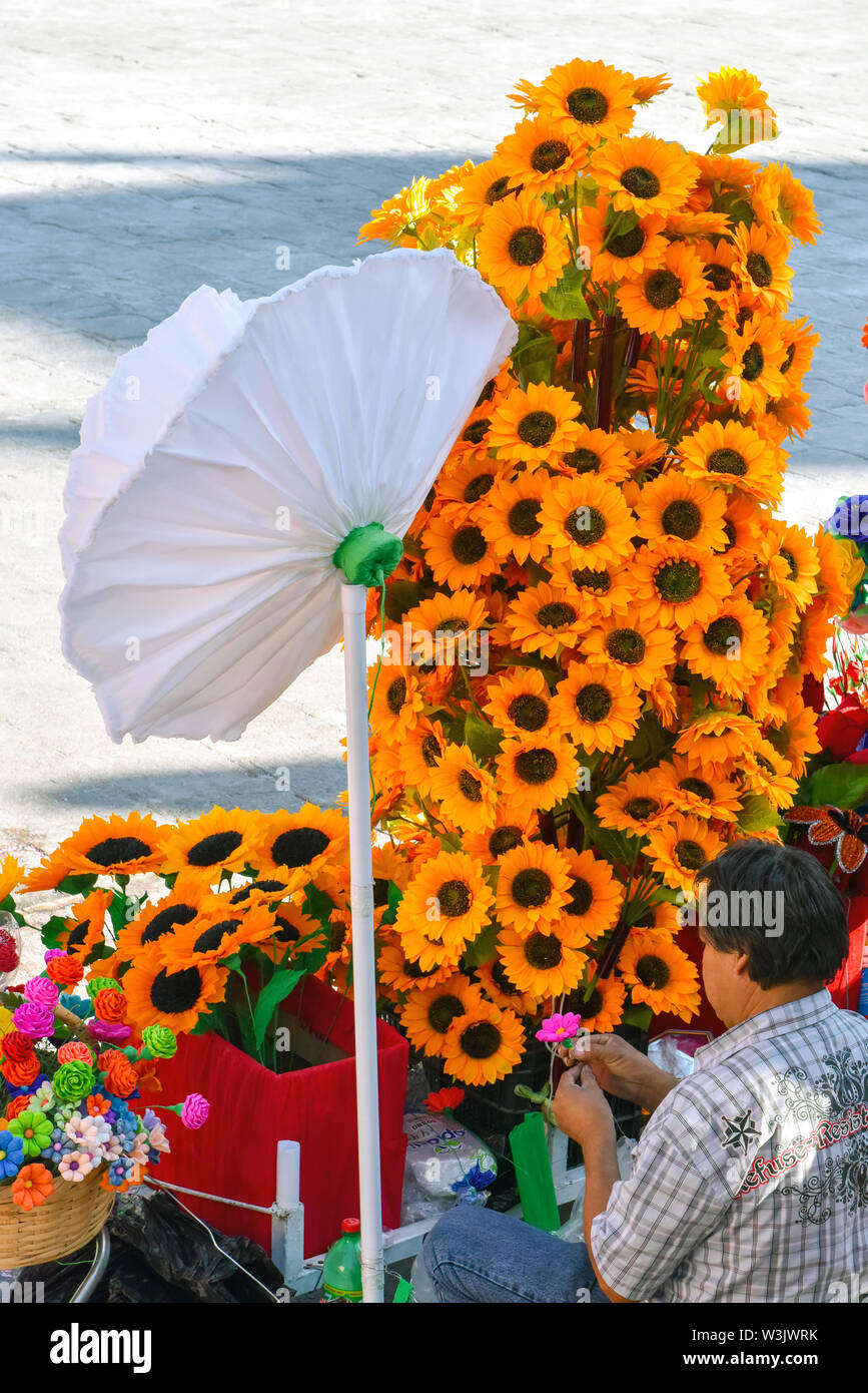 Venditore ambulante, San Miguel De Allende, Messico Foto Stock