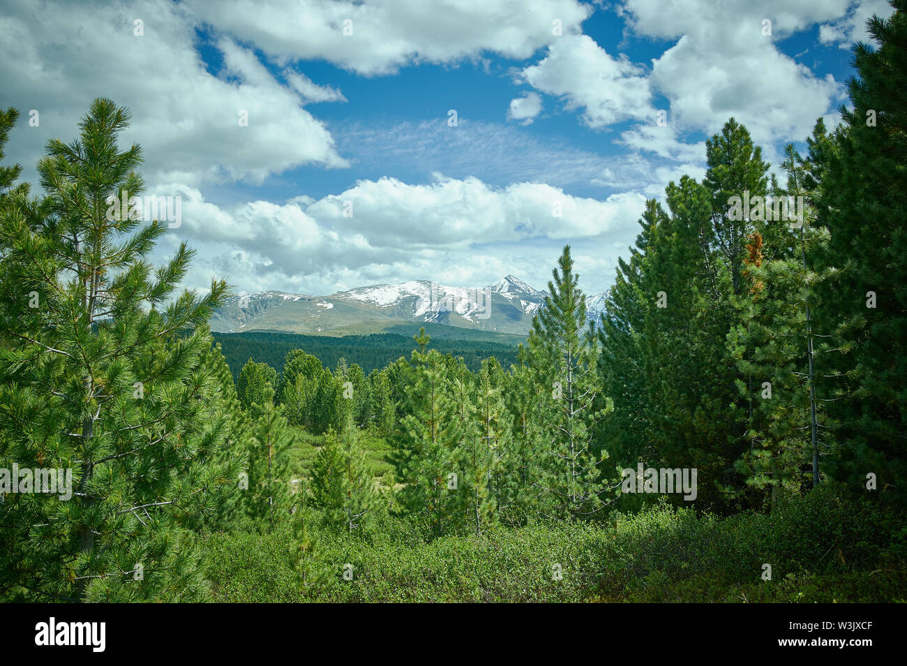 Pass Ulagansky, Altai Mountain Foto Stock