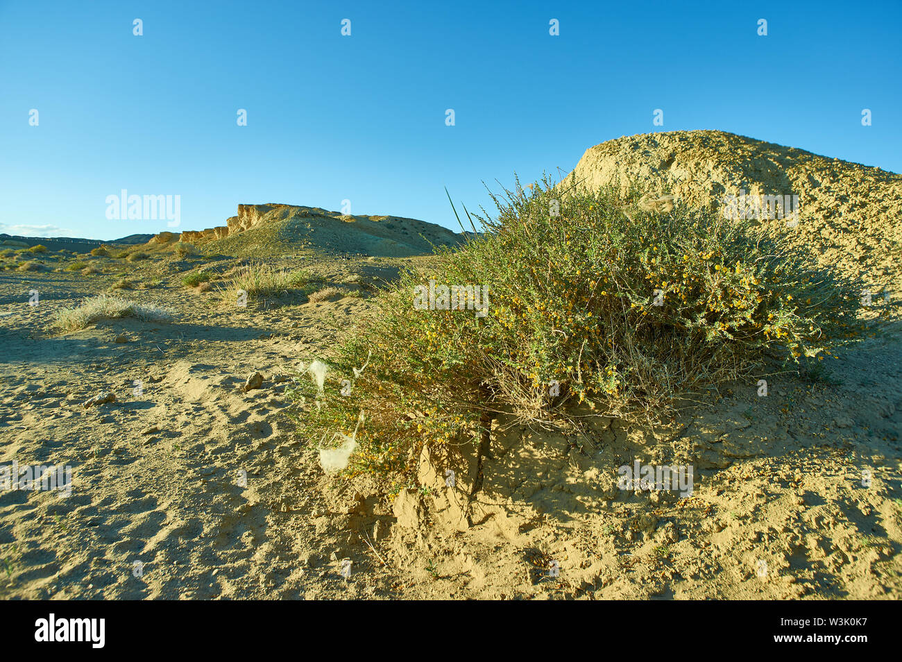 Altopiano vicino al lago Khyargas Nuur, mongola Ustyurt Plateau Foto Stock