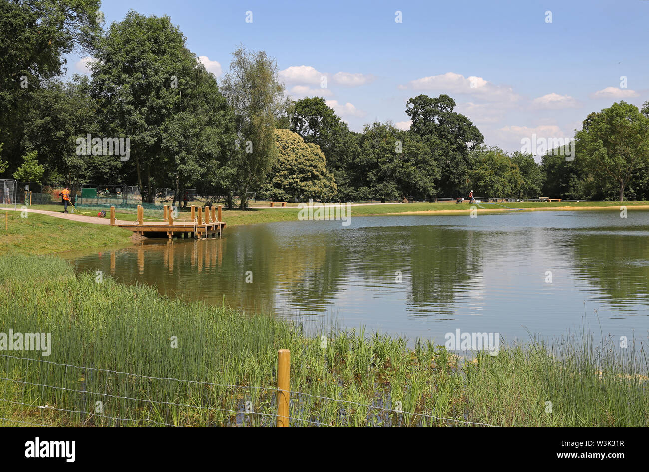 Il nuovo wild piscina lago nella restaurata motivi di Beckenham Place Park, Londra, Regno Unito, mostrato la settimana prima della sua apertura il 20 Luglio 2019 Foto Stock