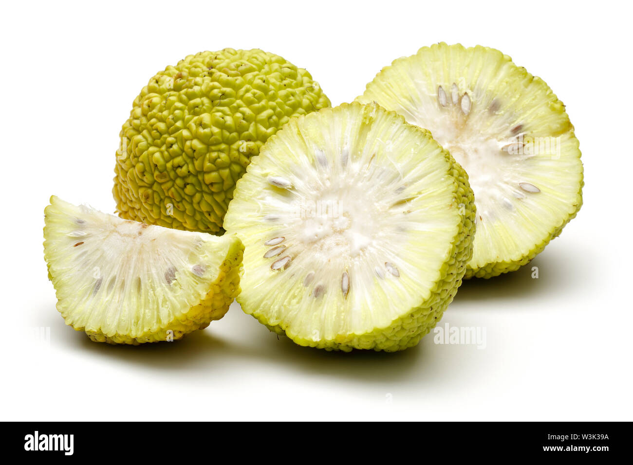 Osage freschi arance o Maclura isolati su sfondo bianco Foto Stock