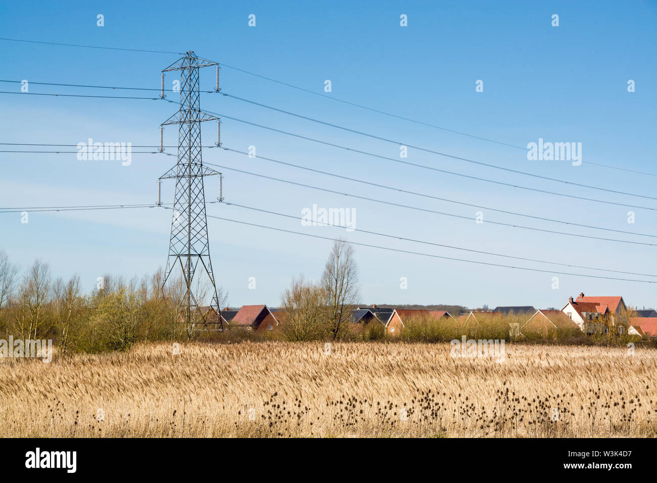 Un polo utilità e le linee elettriche di alimentazione sopra le case Foto Stock