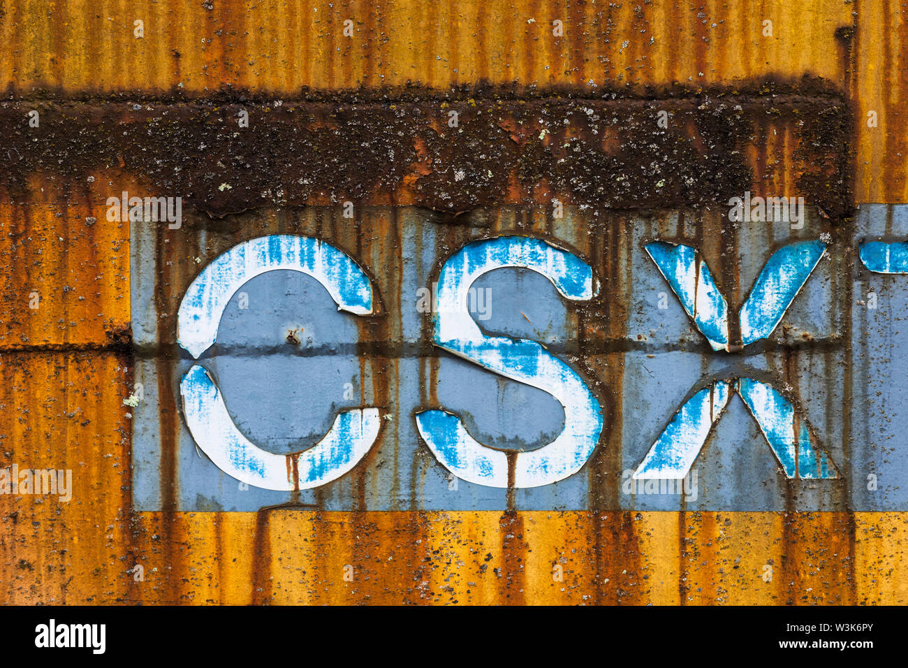 CSX railroad car logo in Peccete depot, North Carolina, Stati Uniti d'America. Foto Stock