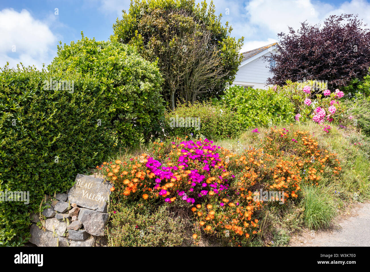 Un display brillante di fiori al di fuori di una proprietà in un "Ruette tranquille", una stradina tranquilla vicino a Petit Bot, Guernsey, Isole del Canale della Manica UK Foto Stock