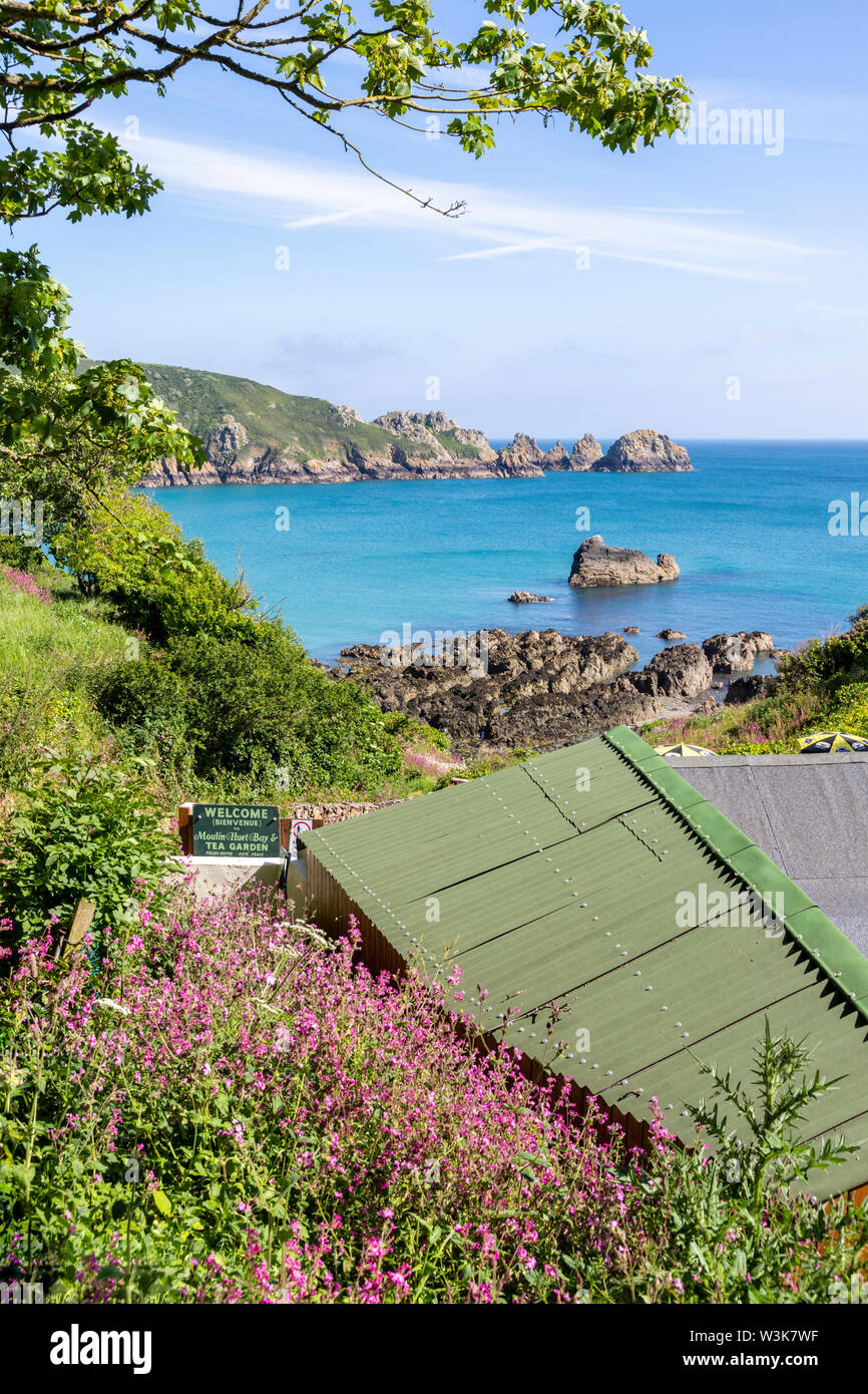 Il robusto bellissima costa sud dell'isola di Guernsey - Una vista del Moulin Huet Bay dal di sopra del tè giardini, Guernsey, Isole del Canale della Manica UK Foto Stock