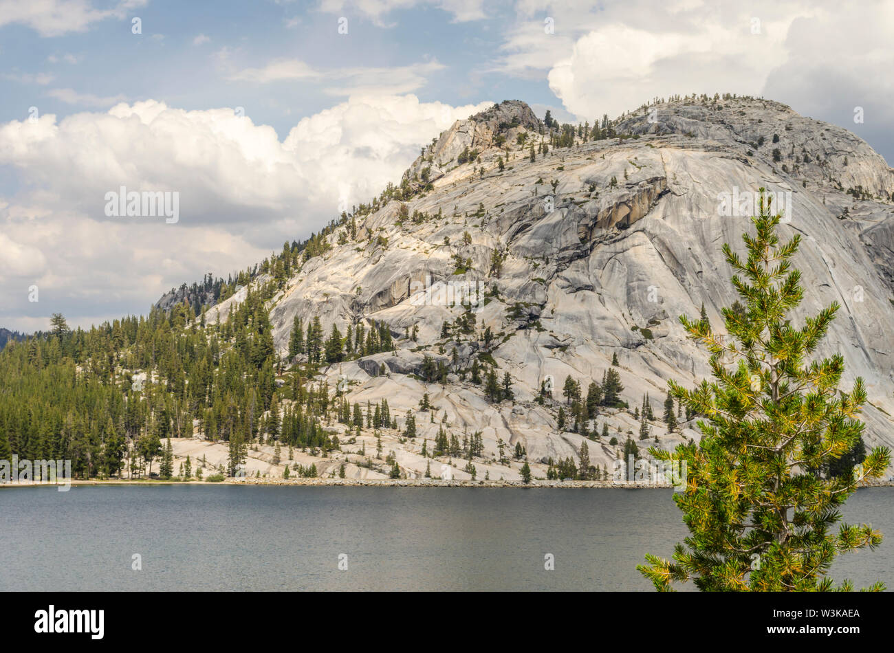 Lago Tenaya. Parco Nazionale di Yosemite in California, Stati Uniti d'America. Foto Stock