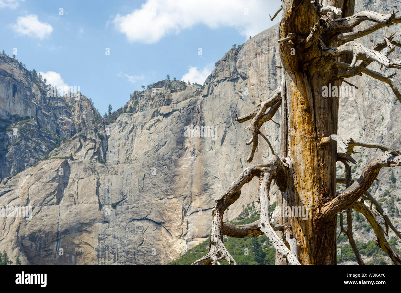 Vista di un Superiore secco Yosemite Falls. Parco Nazionale di Yosemite in California, Stati Uniti d'America. Foto Stock