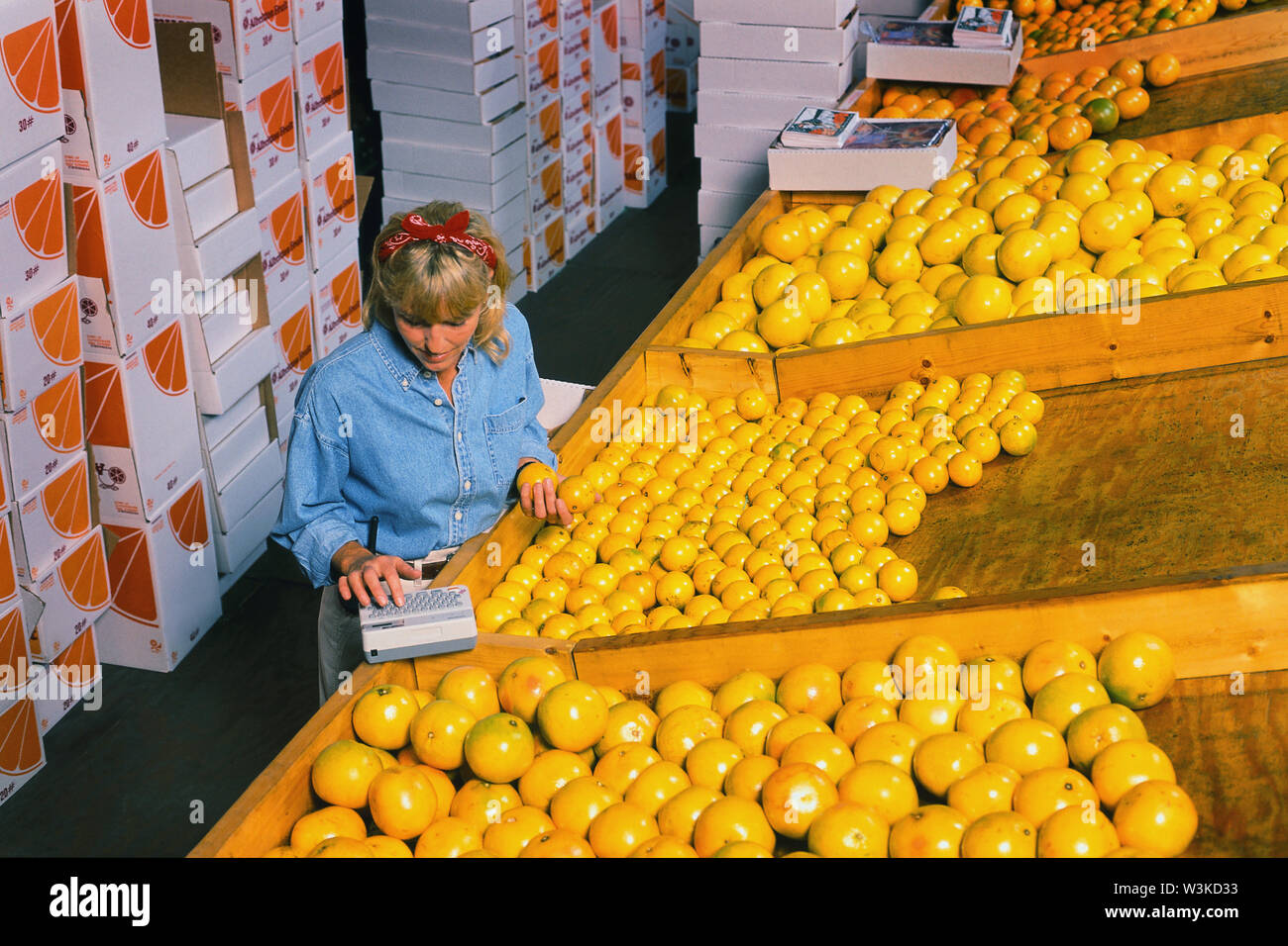 Orange lavoratore nelle piante Foto Stock
