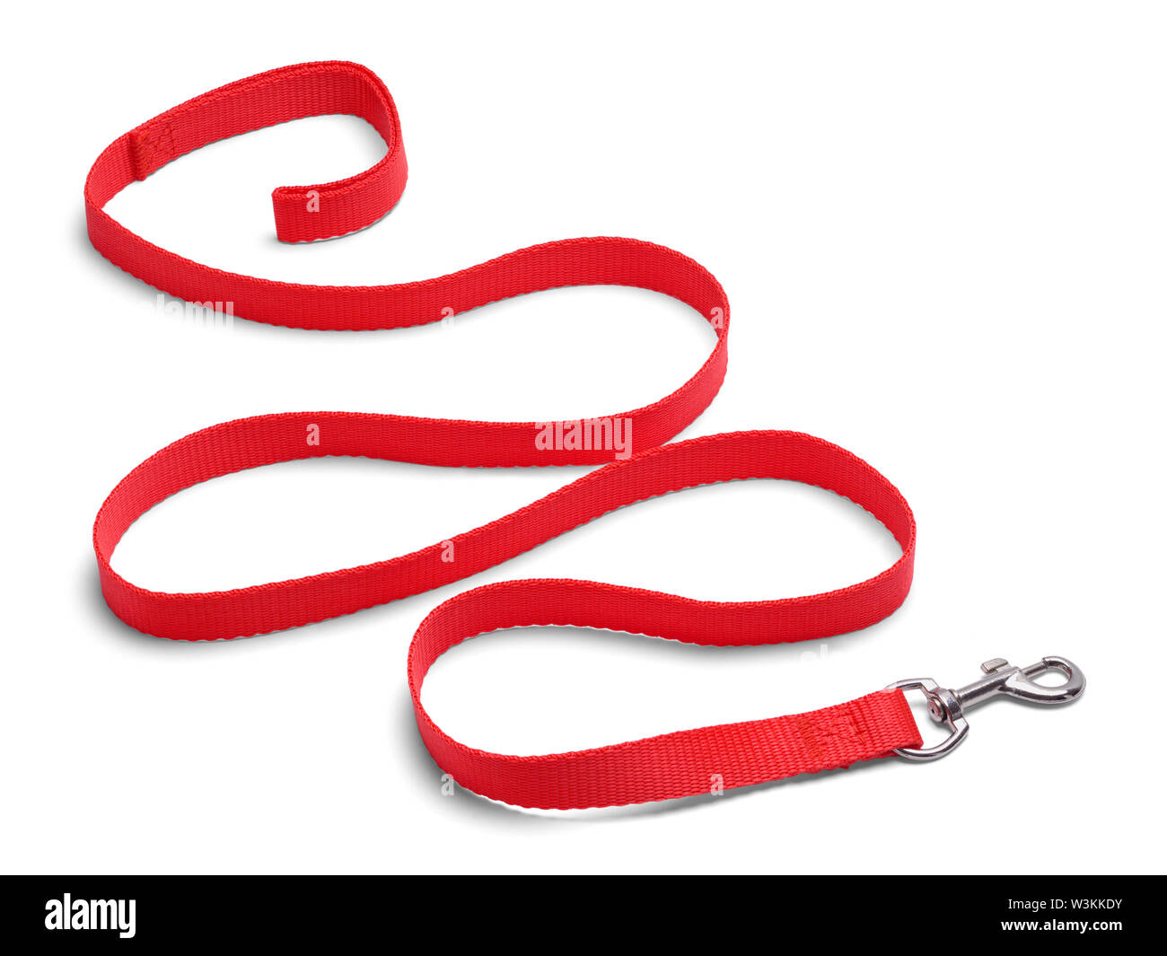 Ondulato cane rosso guinzaglio isolato su bianco. Foto Stock