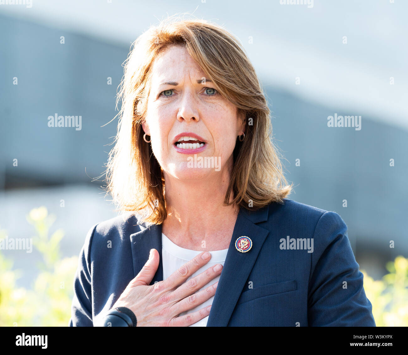 Stati Uniti Rappresentante Cindy Axne (D-IA) che raccomanda per il passaggio della "Prevenire la crudeltà nei confronti degli animali e di tortura Act" o il "Patto atto" presso il Campidoglio di Washington DC. Foto Stock