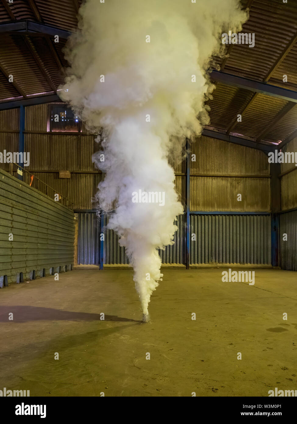 Prima del raccolto fumigazione di un deposito di grano agricolo usando un generatore di fumo di Actellic No. 20 per prevenire deterioramento di grano da insetti di peste Foto Stock