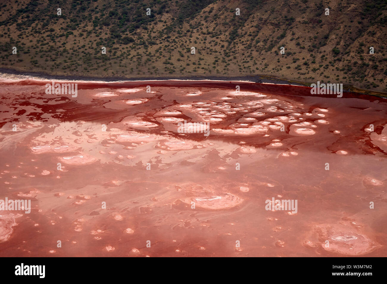 Photosynthesizing pigmenti del blu-verde cianobatteri batteri trasforma il Lago Natron in straordinari colore rosso (vista aerea) Foto Stock