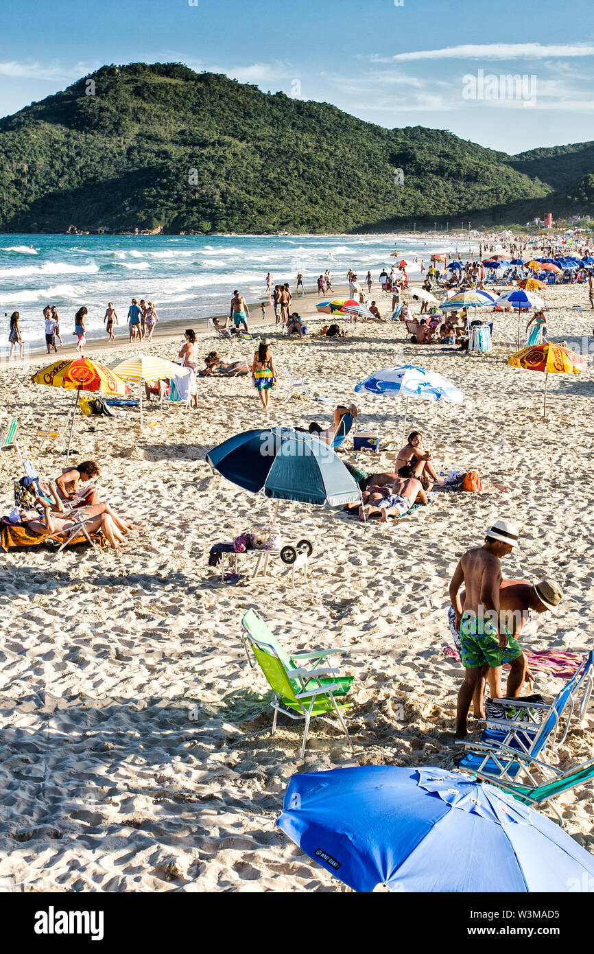 Brava spiaggia, situato nel nord dell isola di Santa Catarina. Florianopolis, Santa Catarina, Brasile. Foto Stock