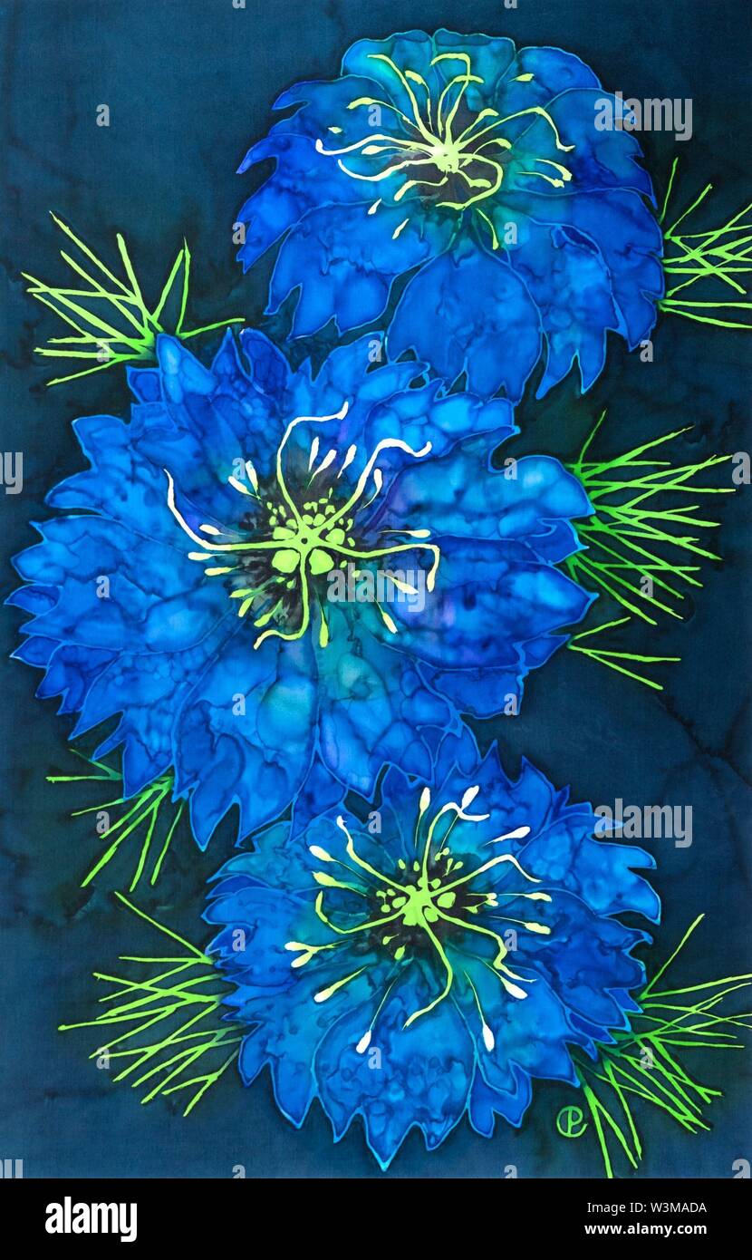 Fotografia di seta dipinto di blu nigella / amore nella nebbia fiori utilizzando vapore-fix coloranti e gutta resistere da Paula Chapman Foto Stock