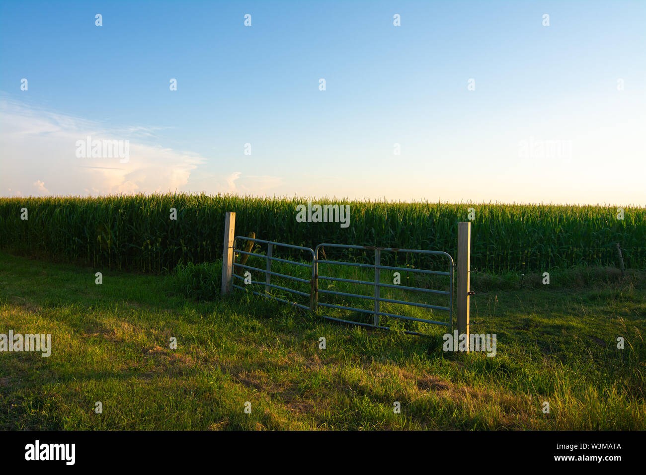 Tramonto nelle zone rurali Illinois farmland. LaSalle County, Illinois, Stati Uniti d'America Foto Stock