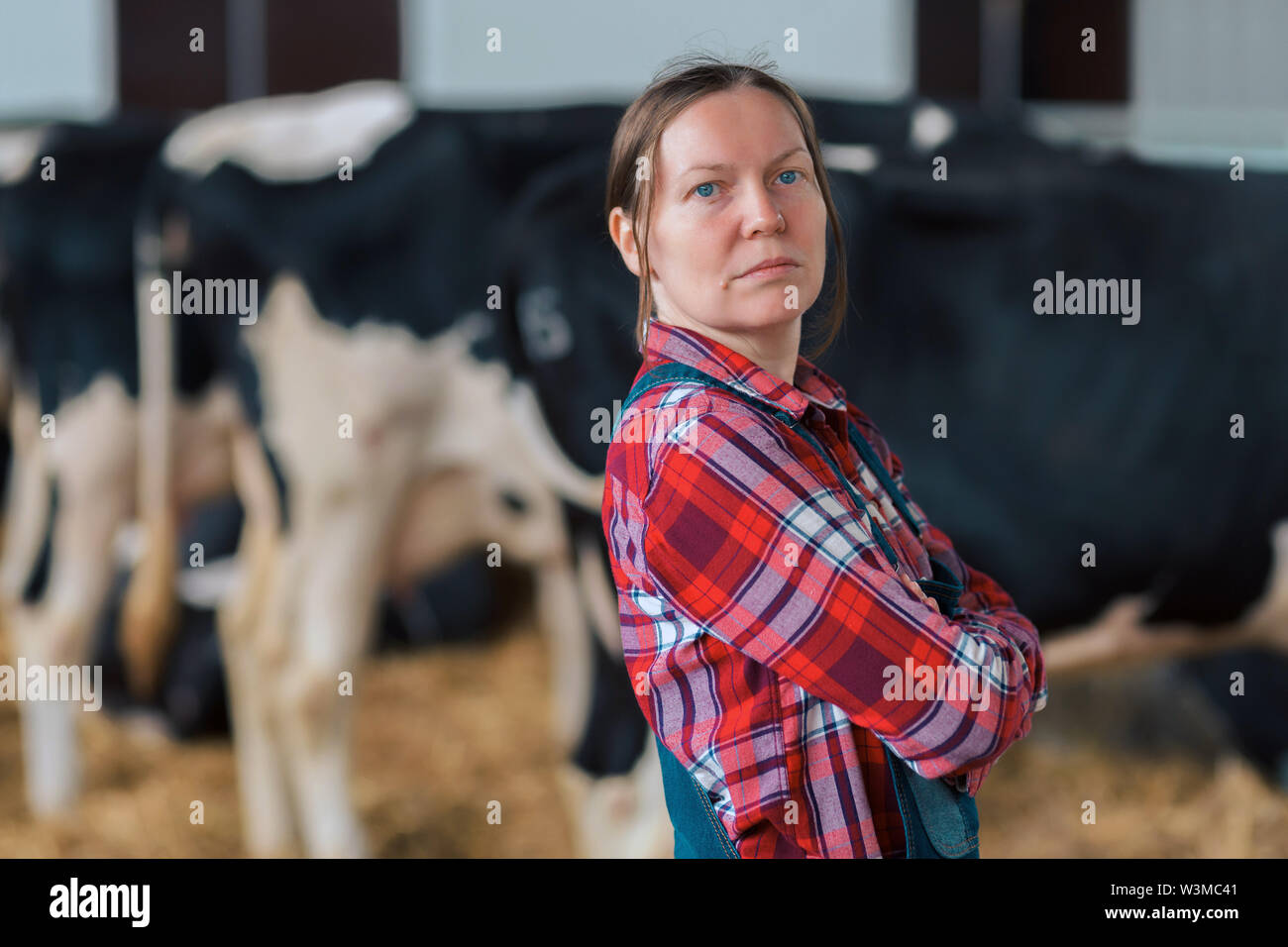 L'agricoltore femmina nella stalla su un patrimonio zootecnico Dairy Farm, ritratto di soddisfatto orgoglioso cowgirl con il suo bestiame nel ranch barn Foto Stock