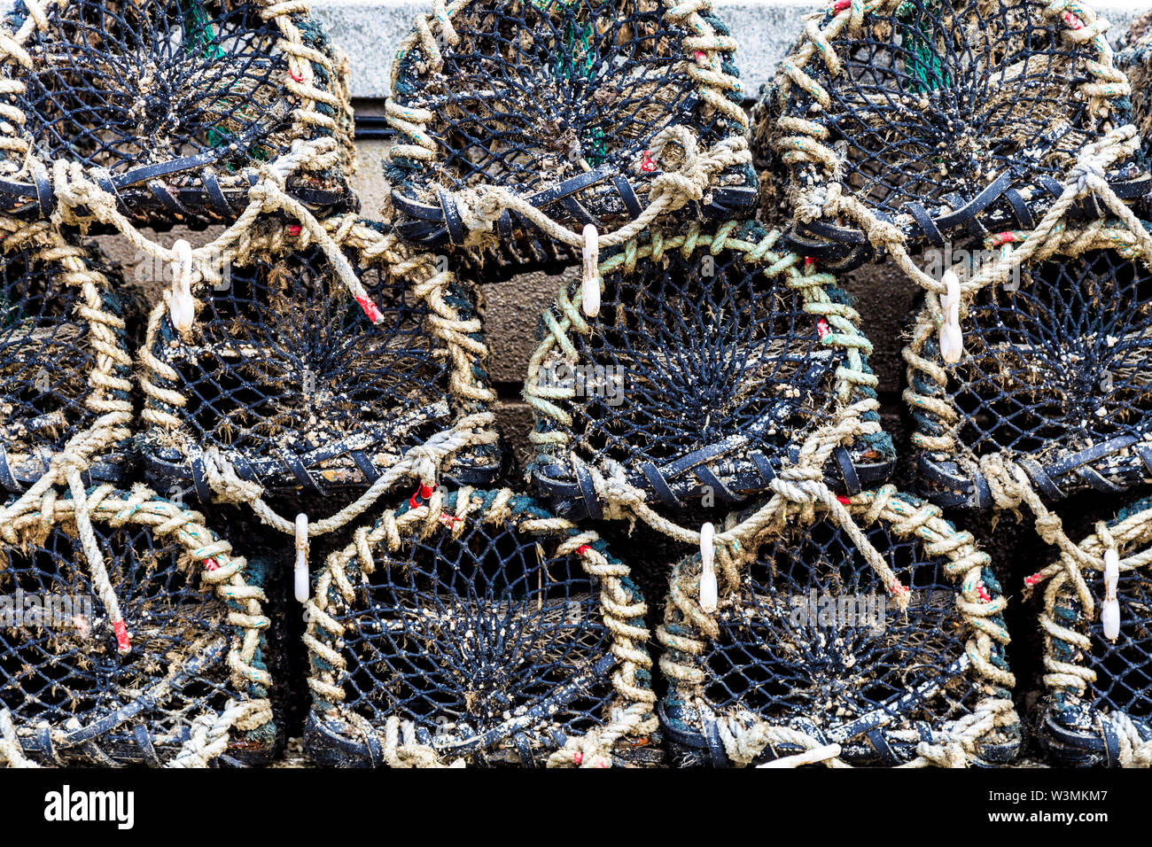 Attività di pesca del granchio cantra cesti gabbie in Newquay Harbour, Cornwall, Regno Unito Foto Stock