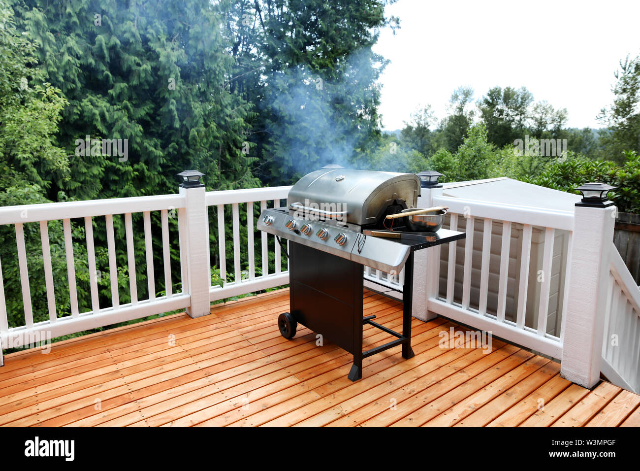 Un barbecue per la cottura in open deck all'aperto durante il giorno di estate Foto Stock