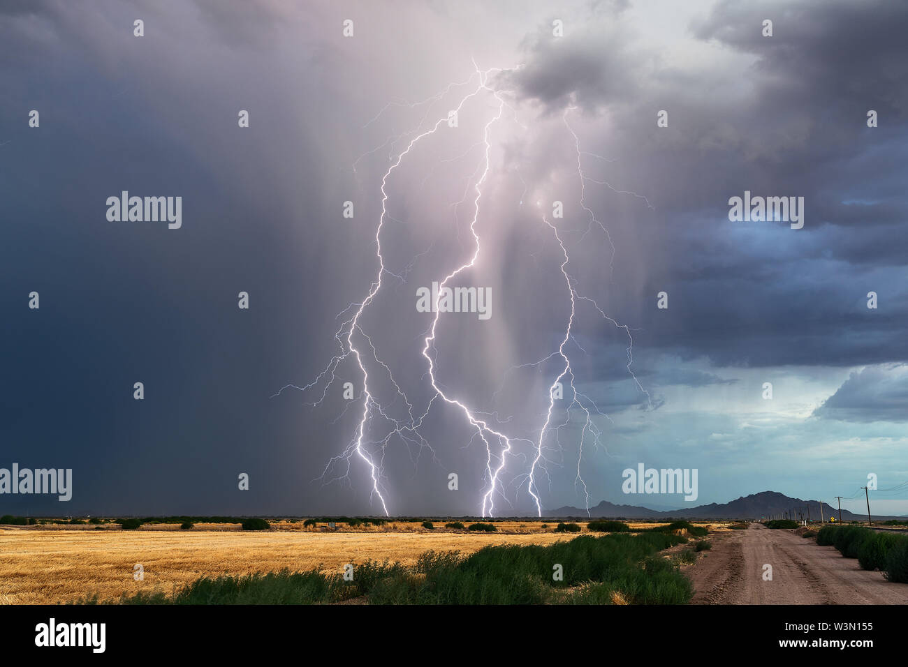 I fulmini drammatici colpiscono in una tempesta di tuoni dalle nuvole scure e dalla pioggia nel deserto dell'Arizona Foto Stock