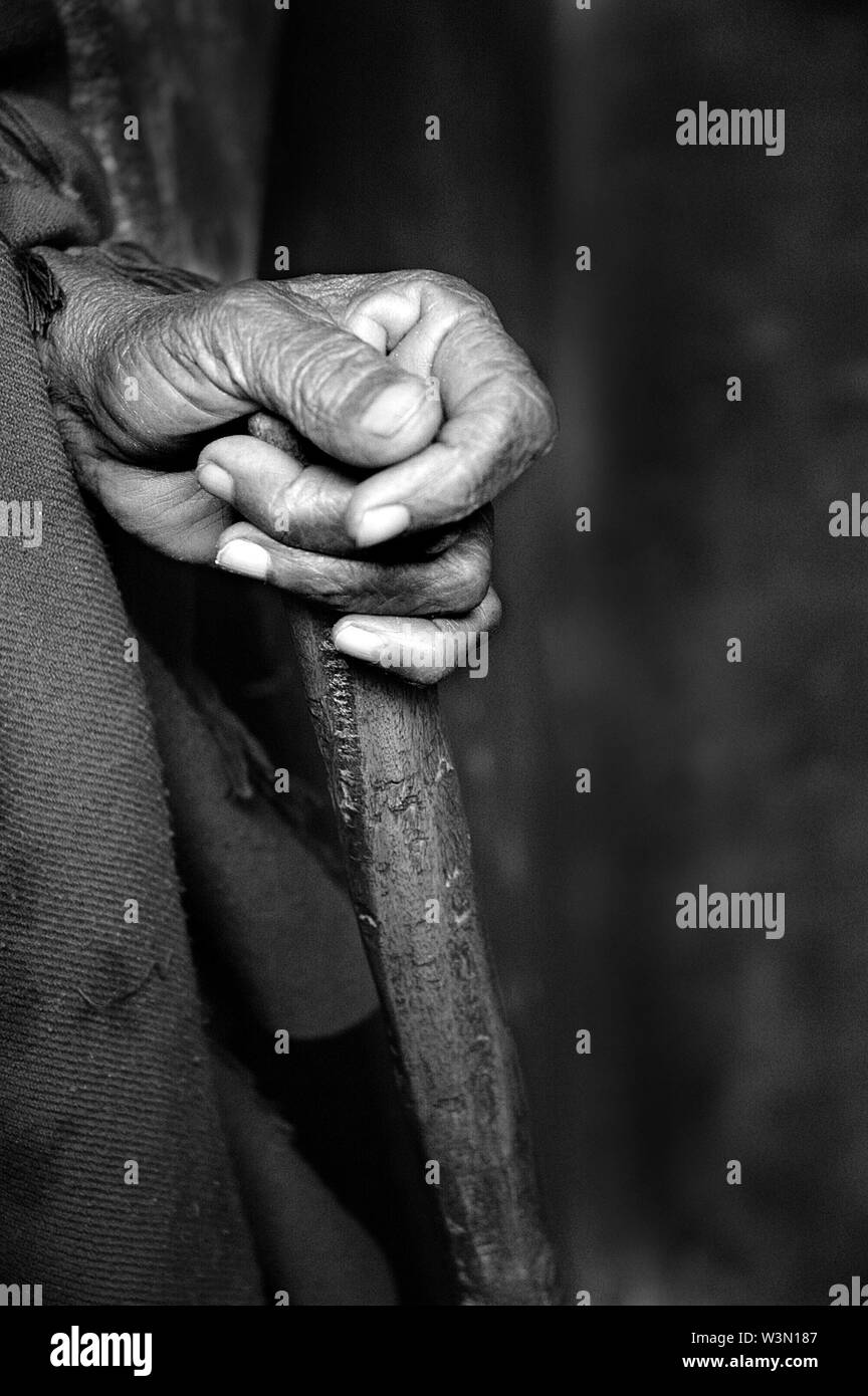 In base al censimento del 1991 in India ci sono 33 milioni di vedove in India. Si tratta di otto per cento del totale della popolazione femminile che sta aumentando di giorno in giorno. Un gran numero di vedove che vivono in Vrindavan, sono viste sulle strade, in ashram e altri centri in Vrindavan. Vrindavan ha oltre 4.000 templi e numerosi ashram (Hermitage). Tanto che Vrindavan è venuto per acquisire un orribile nickname, "Città di vedove. Vrindavan, Uttar Pradesh, India. Marzo 29, 2009. Foto Stock