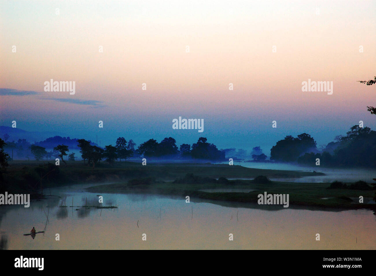 Il Parco Nazionale di Kaziranga è il più antico parco nazionale nel nord-est dello stato indiano di Assam. È stato creato un secolo fa come una riserva forestale dal viceré britannico il signore Curzon, per volere di sua moglie, per proteggere il maggiore One-Horned Rhinoceros. Un sito Patrimonio Mondiale dell'UNESCO ha dichiarato nel 1985 il parco è noto in tutto il mondo per la sua importanza come uno degli ultimi habitat indisturbato del grande One-Horned indiano di rinoceronti. Il prezzo di un corno di rinoceronte varia da 20.000 a 35.000 dollari nel mercato internazionale. Oggi il parco nelle case di molti animali in pericolo, compresi i rinoceronti, tigri, elefante Foto Stock