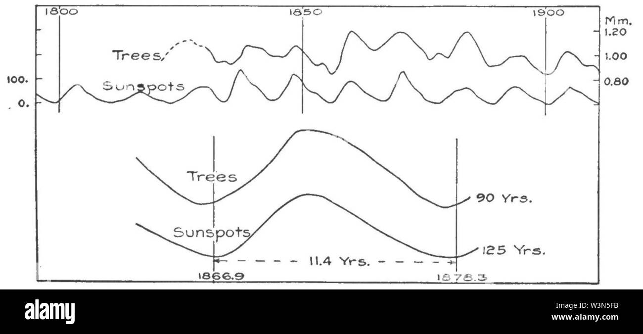 Cicli climatici e Tree-Growth Fig 25. Foto Stock
